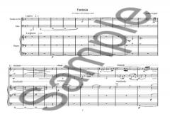 Fantasia For Trumpet, Tuba And Organ (Anders Koppel) 