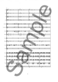 Concerto for Recorder, Saxophone and Orchestra von Anders Koppel im Alle Noten Shop kaufen (Partitur)