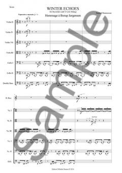 Winter Echoes For Recorder And 13 Solo Strings (Sunleif Rasmussen) 
