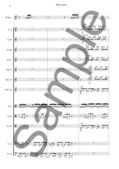 Winter Echoes For Recorder And 13 Solo Strings (Sunleif Rasmussen) 