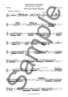 Winter Echoes For Recorder And 13 Solo Strings (Sunleif Rasmussen) 