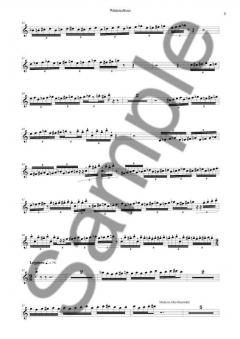 Winter Echoes For Recorder And 13 Solo Strings (Sunleif Rasmussen) 