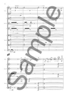 Musik for 13 Strygere von Pelle Gudmundsen-Holmgreen 