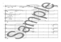 Whispering For Recorder And Strings (Bent Sorensen) 