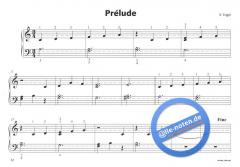 Circus Pianoforte von Valenthin Engel 