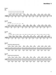 Ray Luzier's Double Bass Drum Techniques (Ray Luzier) 