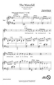 The Waterfall (Mark Patterson) 