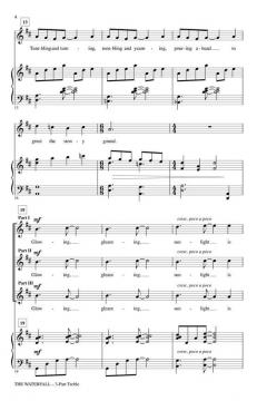 The Waterfall (Mark Patterson) 