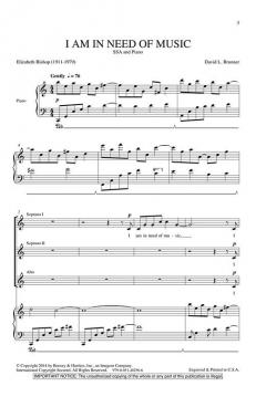 I Am In Need Of Music (David L. Brunner) 