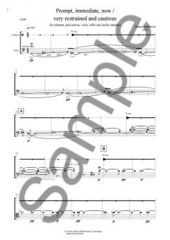 Prompt, Immediate, Now / Very Restrained And Cautious (Juliana Hodkinson) 