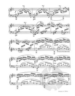 Complete Preludes And Etudes-Tableaux von Sergei Rachmaninow 