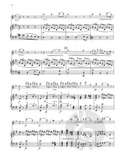 Sonatina for Flute and Piano Op. 100 von Antonín Dvorák 