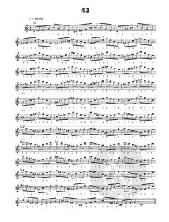 Guitar Hanon von Peter Deneff 