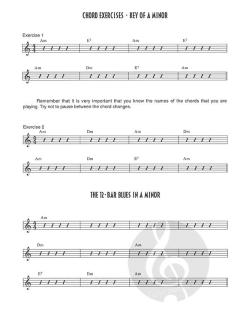 The Ultimate First Guitar Book von Al DiMeola 