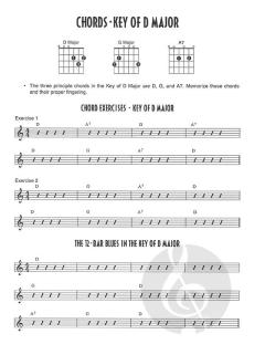 The Ultimate First Guitar Book von Al DiMeola 