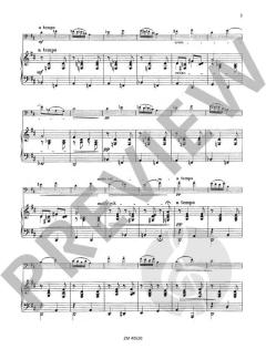 Serenade op. 18/3 von Gustav Schlemüller 