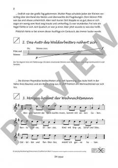 Pitti Pieps rettet das Weihnachtsfest (Almut Werner) 