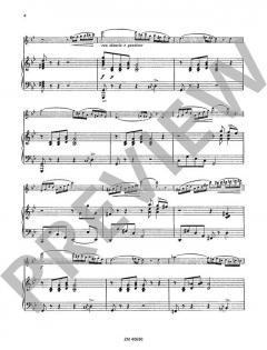 Concerto in Sol minore op. 97 von Ernesto Köhler für Flöte und Klavier im Alle Noten Shop kaufen