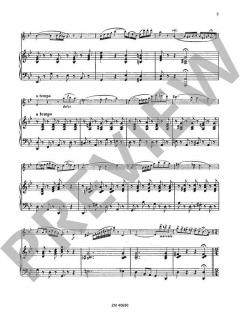 Concerto in Sol minore op. 97 von Ernesto Köhler für Flöte und Klavier im Alle Noten Shop kaufen