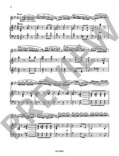 Concerto in Sol minore op. 97 von Ernesto Köhler für Flöte und Klavier im Alle Noten Shop kaufen