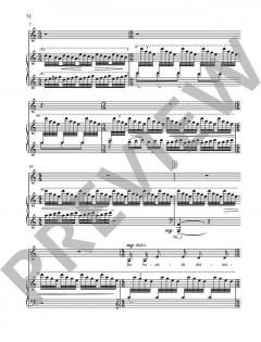 Vier Lieder op. 37 von Fazil Say 