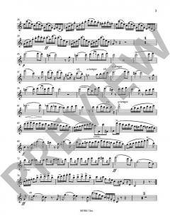 Sonate von Niccolò Paganini 