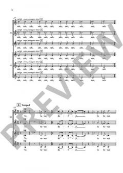 Ne tikai lirika von Peteris Vasks 