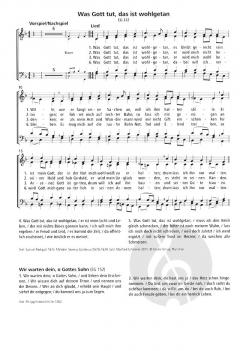 Die Fest- und Feierkette (Manfred Schlenker) 