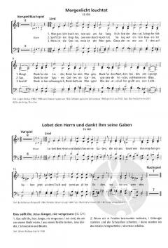 Die Fest- und Feierkette (Manfred Schlenker) 