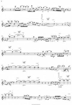 Questions and Stones 3 von Dror Feiler für Glissando-Flöte und Zuspiel (Partitur und CD) im Alle Noten Shop kaufen