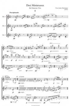 Drei Miniaturen von Timo Jouko Herrmann 