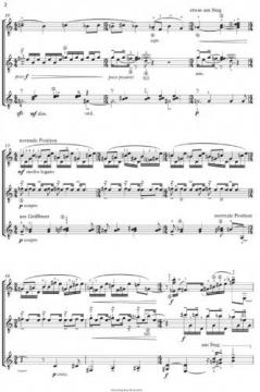 Secret Maghrébin von Rene Mense 