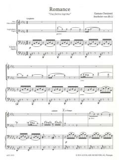 Romanze 'Una furtiva lagrima' (Gaetano Donizetti) 