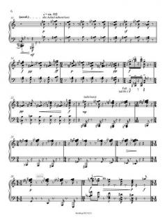 Ein Wandersmann...zornig... (Hans Zender) 