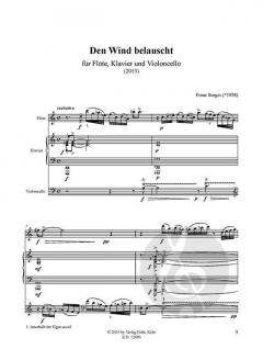 Den Wind belauscht (Franz Surges) 