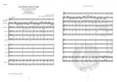 Jesu bleibet meine Freude von Johann Sebastian Bach für Solo und Zupforchester (gem. Chor und Continuo ad lib.) im Alle Noten Shop kaufen