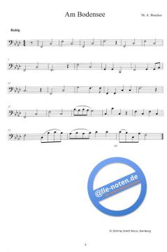 Klezmer - Das kleine Ensemble von Maria-Anna Bruckner für Holzbläser Trio im Alle Noten Shop kaufen