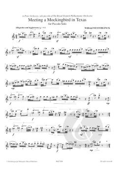 Meeting a Mockingbird in Texas von Wilfried Westerlinck 