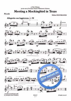 Meeting a Mockingbird in Texas von Wilfried Westerlinck 