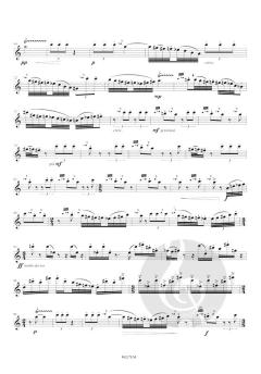 Meeting a Mockingbird in Texas von Wilfried Westerlinck 