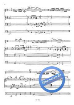 The Jericho Wall von Jan van Landeghem 