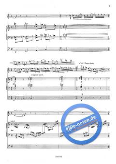 The Jericho Wall von Jan van Landeghem 