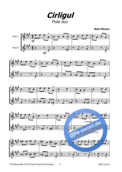 12 Romanian Folk Dances von Nelu Fieraru 