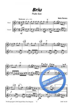 12 Romanian Folk Dances von Nelu Fieraru 