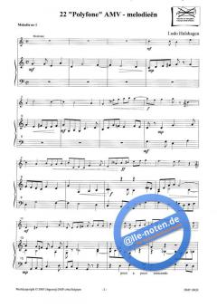 22 Polyfone AMV von Ludo Hulshagen 