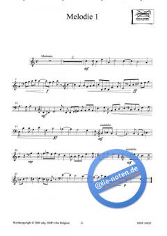 22 Polyfone AMV von Ludo Hulshagen 