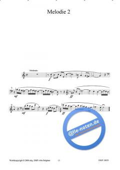 22 Polyfone AMV von Ludo Hulshagen 