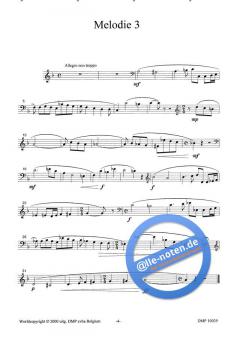 22 Polyfone AMV von Ludo Hulshagen 