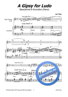 A Gipsy For Ludo von Leo Thys 