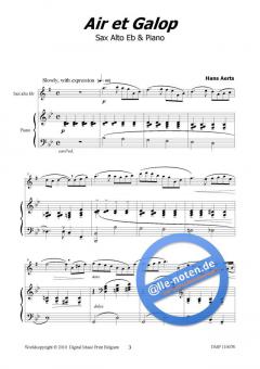 Air et Galop von Hans Aerts 